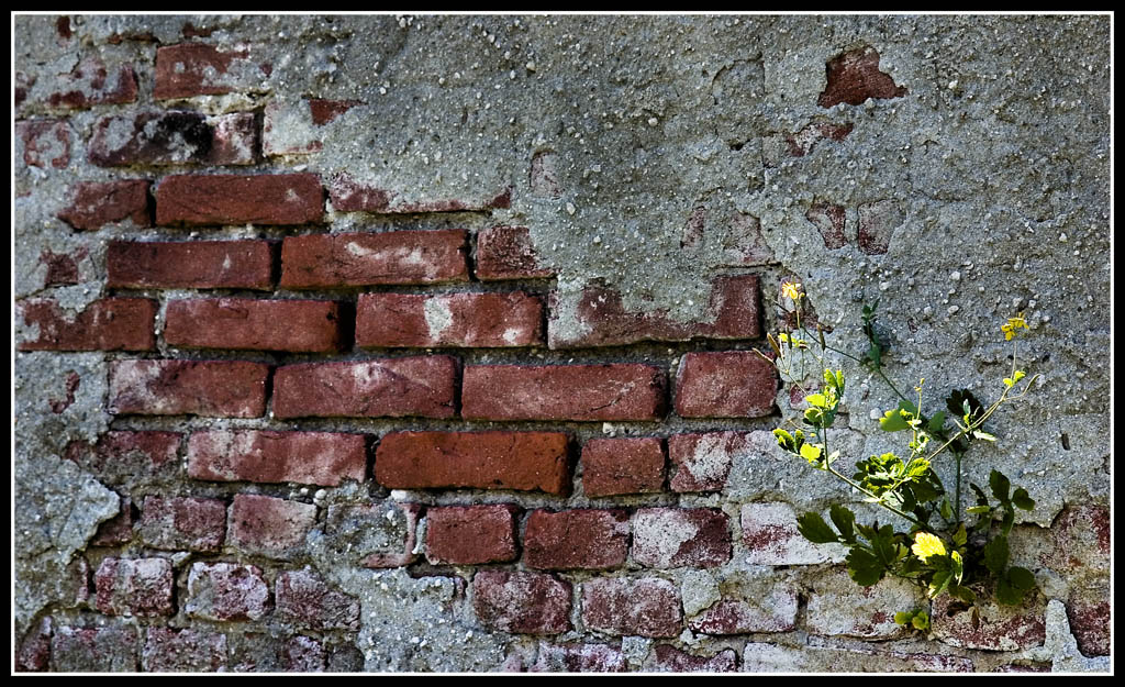 Aggrappata alla vita