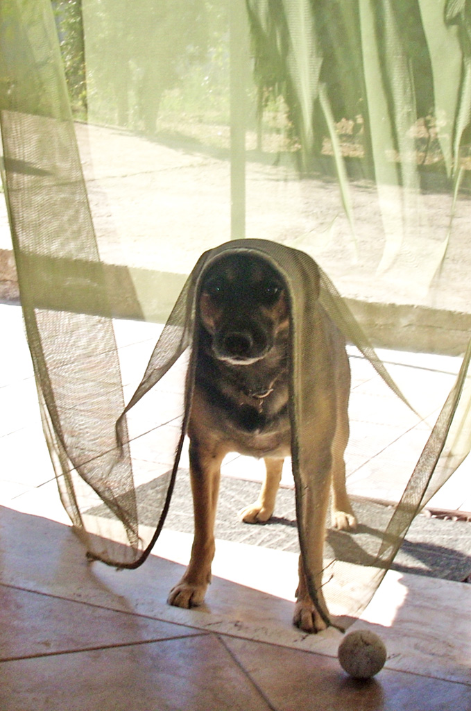 C'� nessuno in casa?