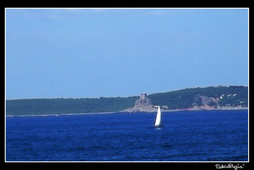 nei pressi di Gallipoli...