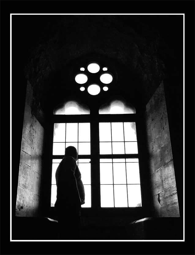 Helix al castel del monte