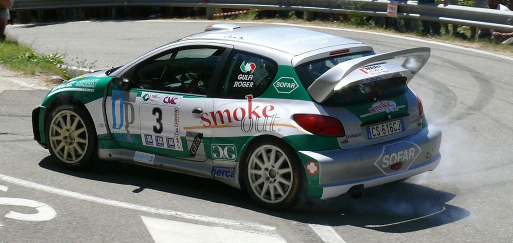 Rally del casentino (1)
