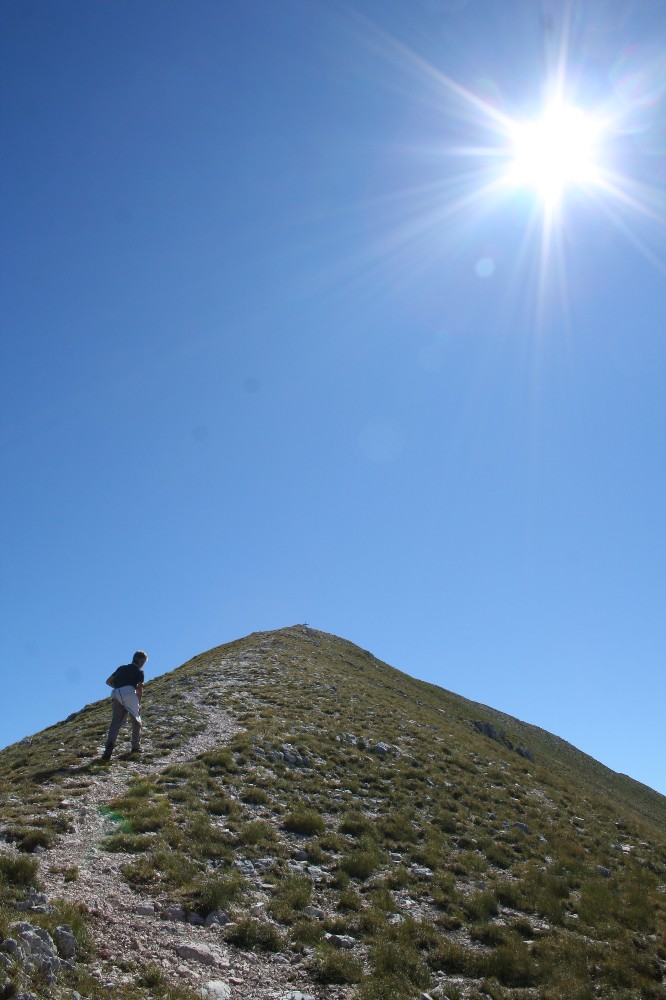 Per la stessa ragione del viaggio, viaggiare.