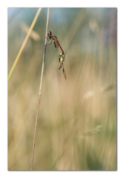 Amore ti prego.... non mi lasciare!!