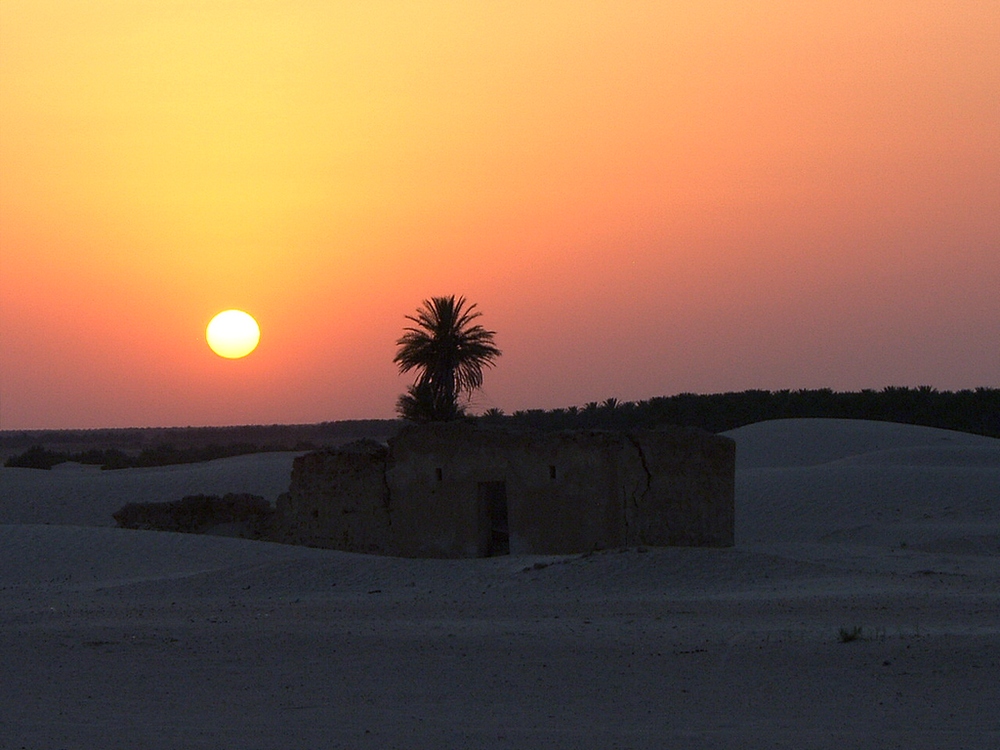 Tunisia . Tozeur - Tramonto Sahariano