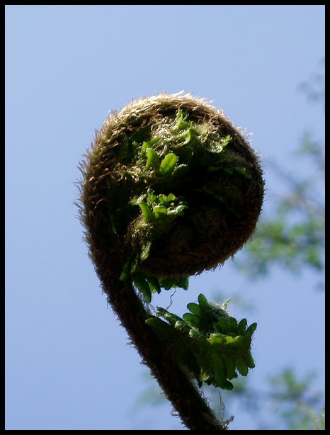Madonnina con bambinello