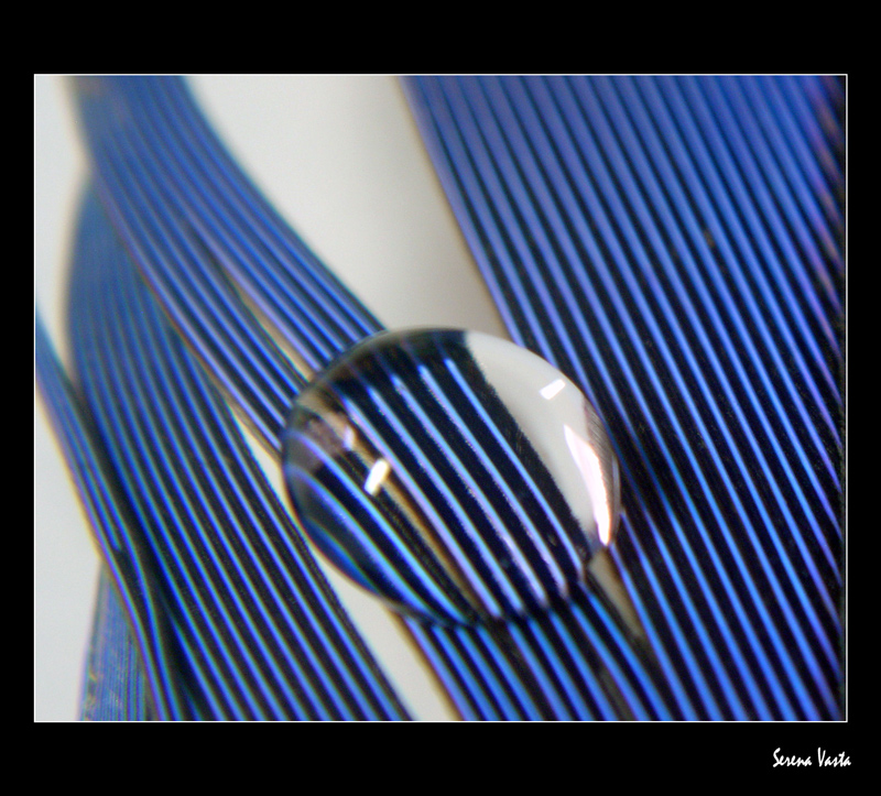 Percezioni Amplificate