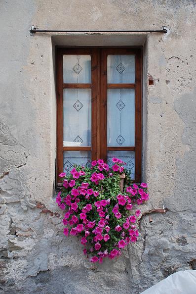 Populonia...la finestra fiorita