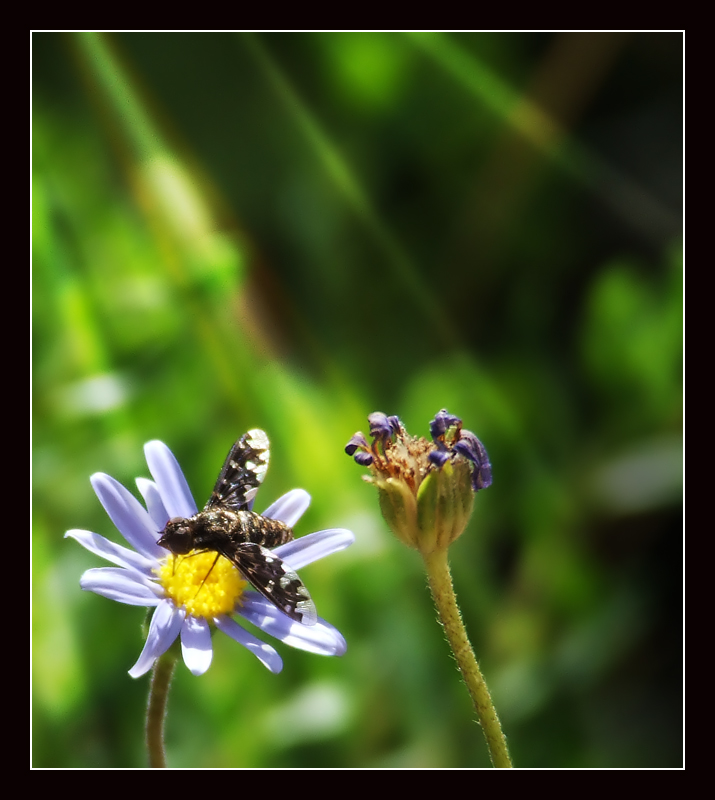 e adesso anche quest'altro...