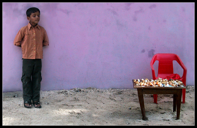 venditore di conchiglie