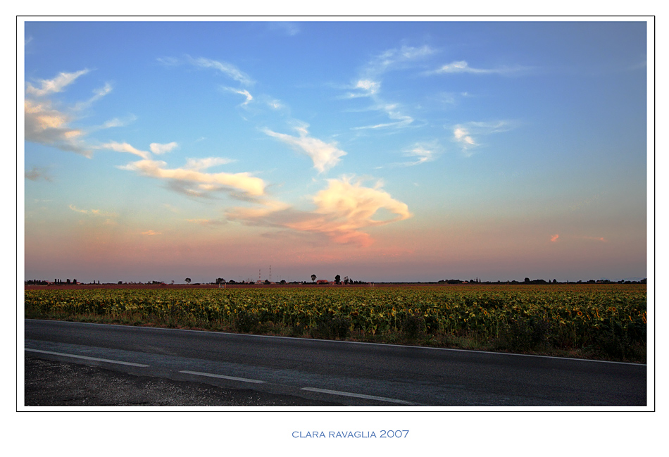 la Via... dei girasoli