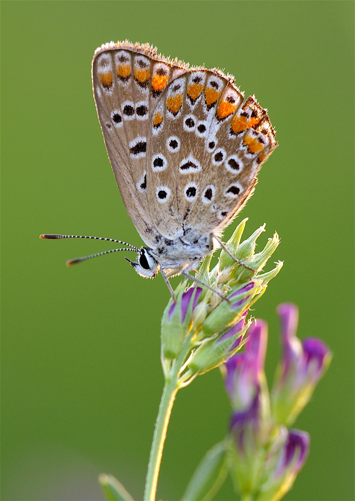 Un posto per la notte