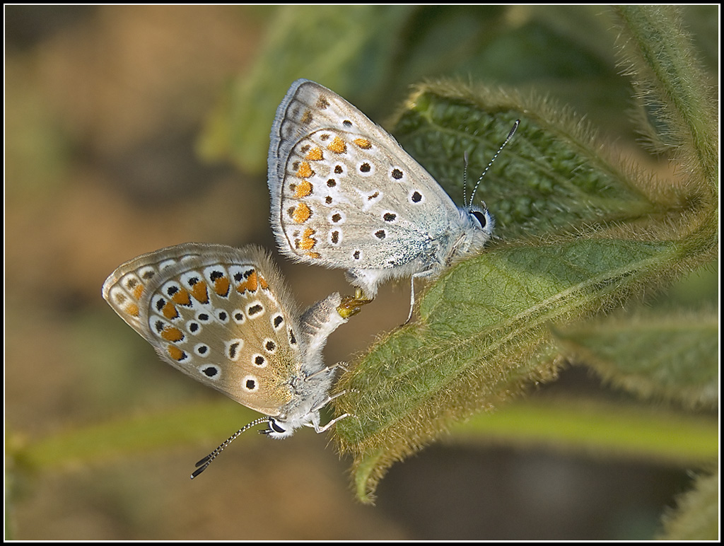 Un momento un po intimo