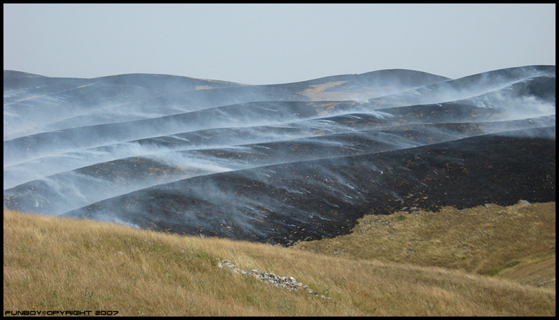 La mamma degli stupidi � sempre incinta