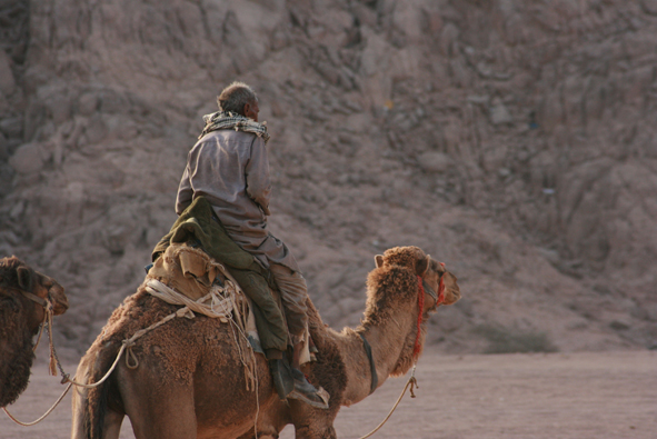 Beduino di Sharm al tramonto