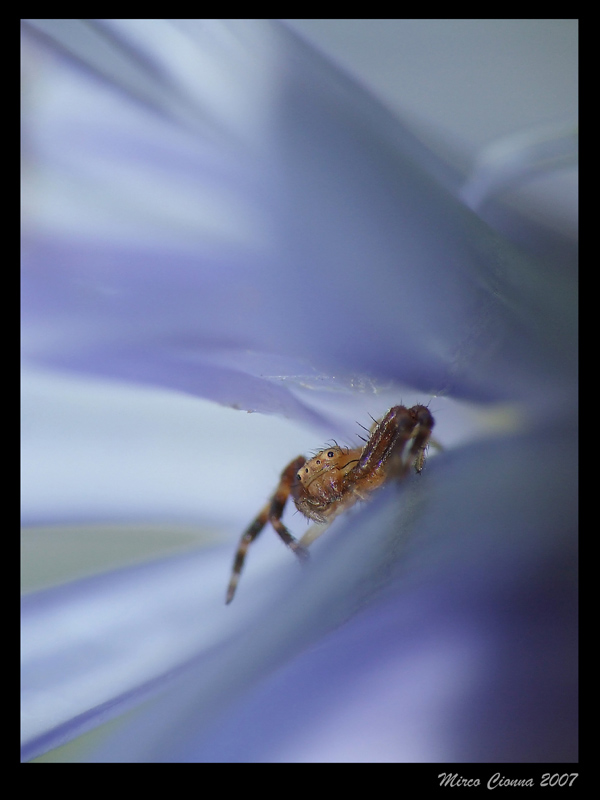 Smarrito .... nel blu