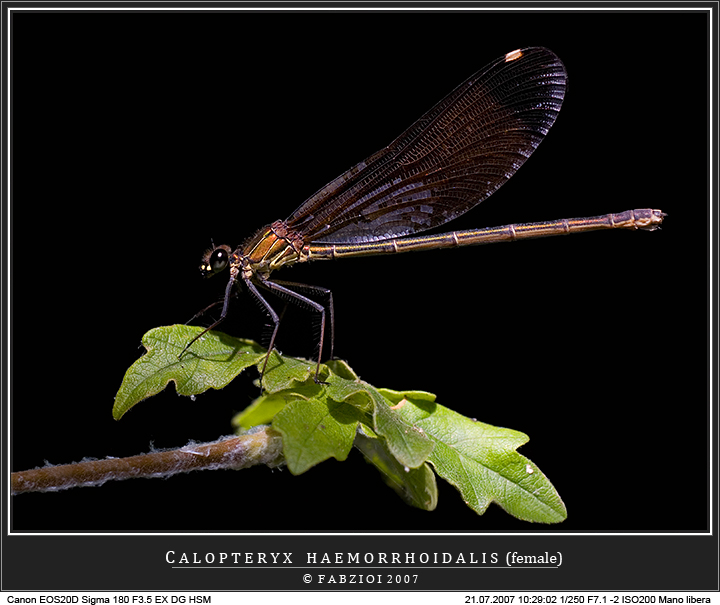Illuminata... da un raggio di sole!