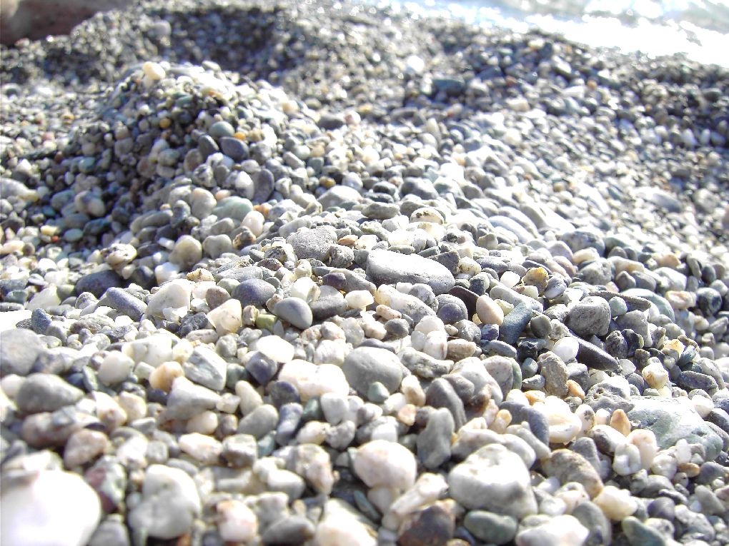 bon bon di cioccolato