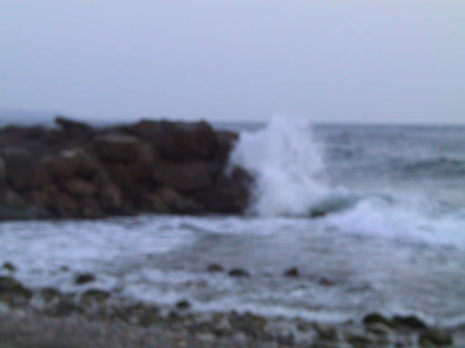 nelle vicinanze di livorno