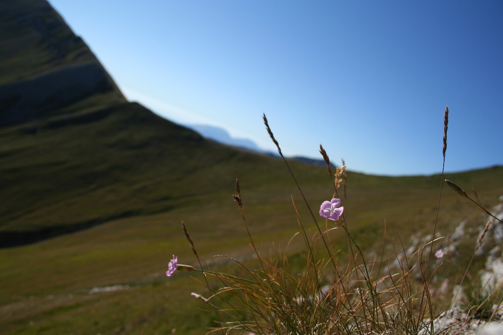 Al di l�, pi� oltre.