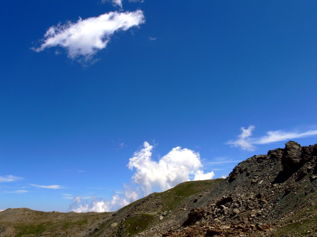 Il coniglio e lo squalo.....