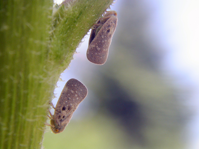 ciao ci vediamo dopo...