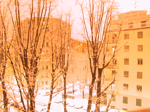 milano, 18 gennaio 2005: nevica
