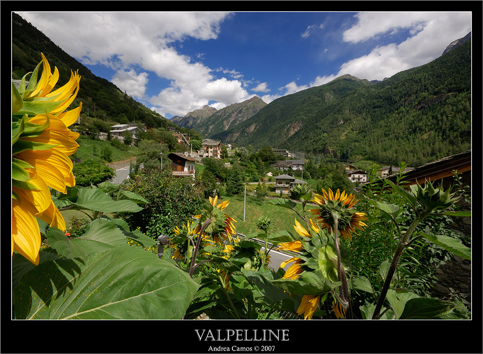 Valpelline