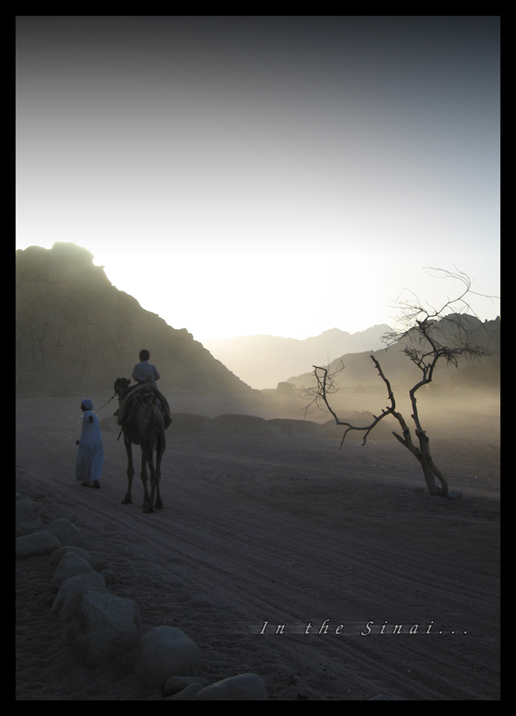 In the Sinai