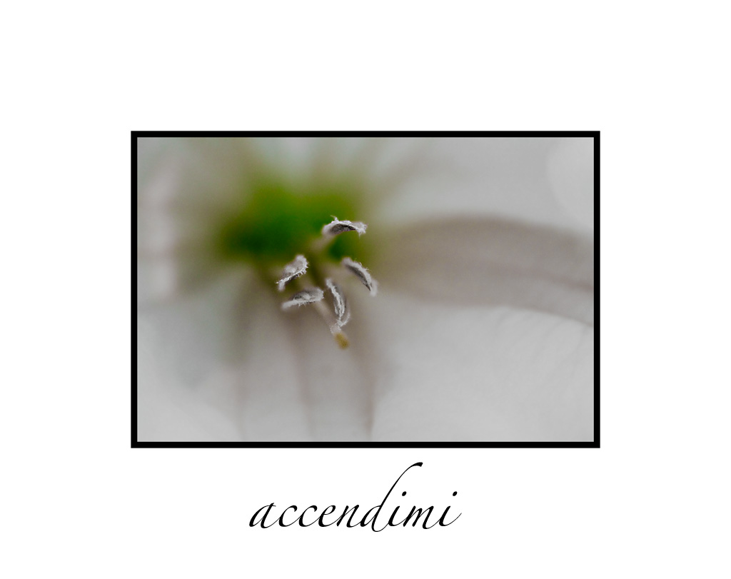 accendimi