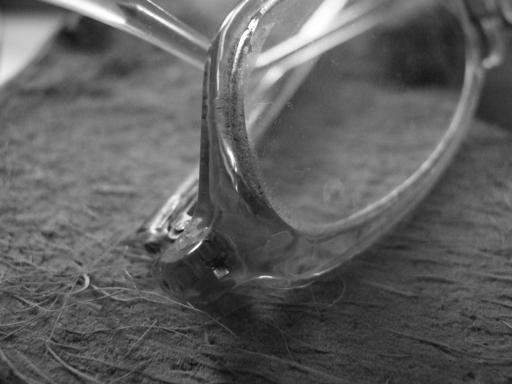 Occhiali su cocco b/n