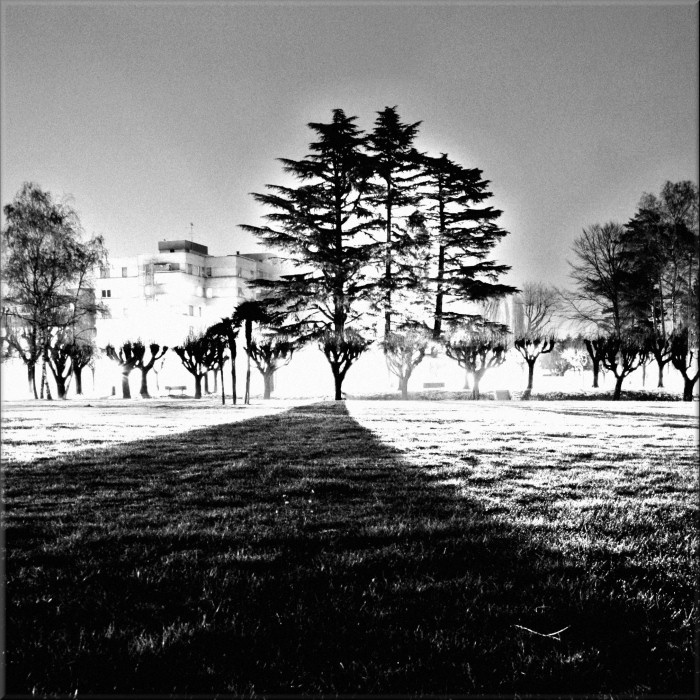 la prospettiva del cane