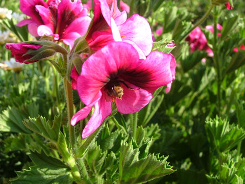 Chi c'� l� Dentro?!?