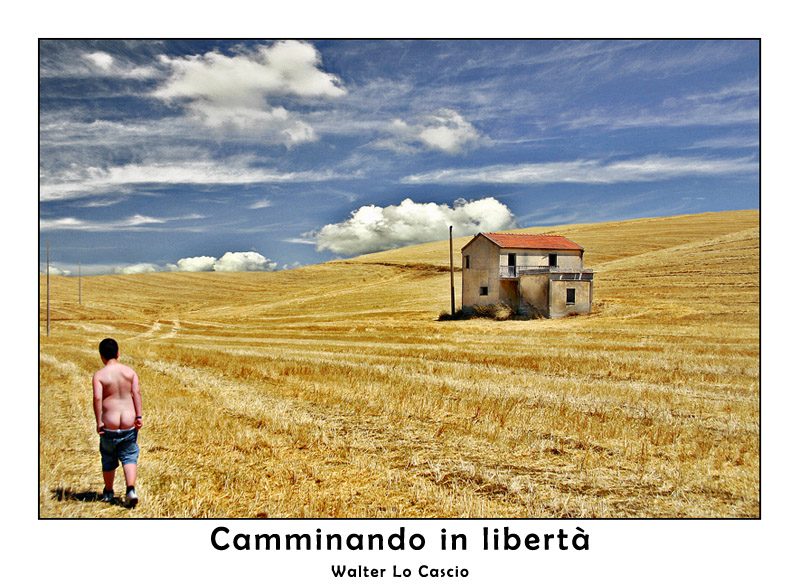 Camminando in libert�