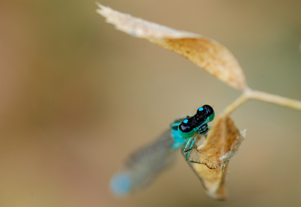 Pi� profondo di me