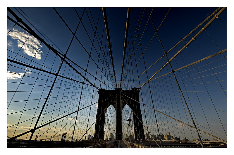 N.Y...UNA CITTA' NELLA RETE