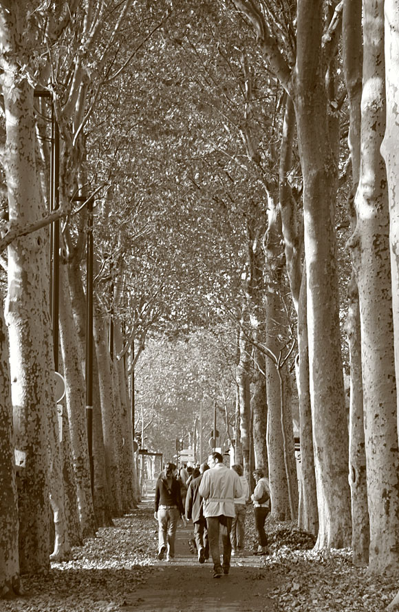 Parigi di oggi ... vista di ieri .......