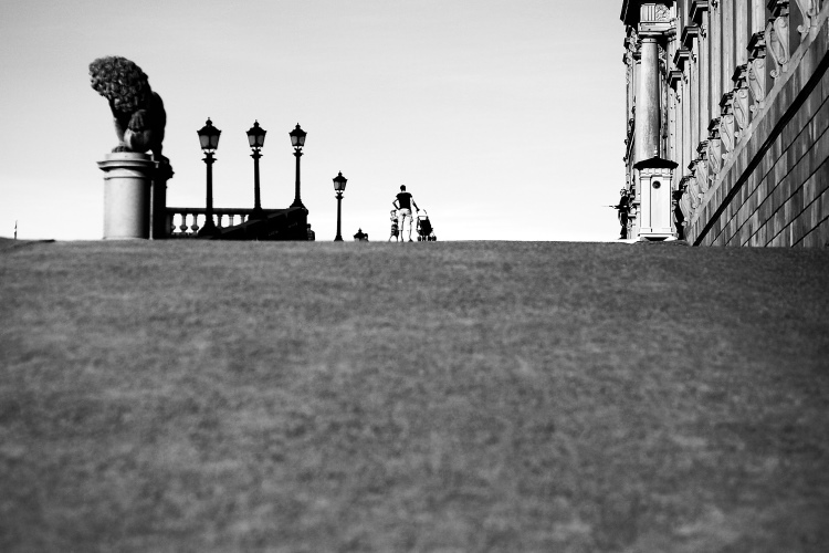 La collina familiare