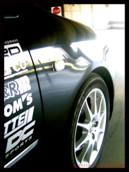 Particolare Anteriore