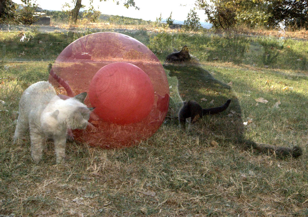 giochi