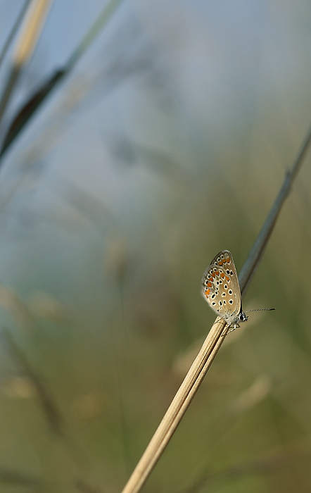 Ancora un attimo e volo lontano