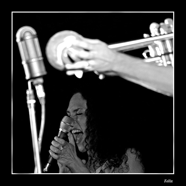 Controcampo "espresso"