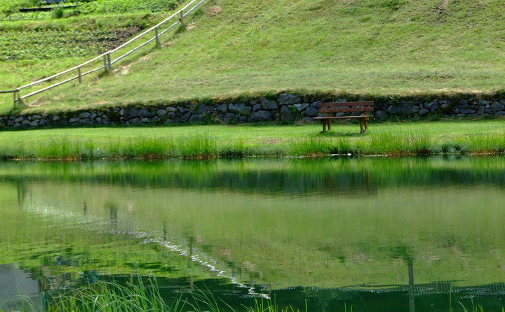Panchina solitaria in riva al lago