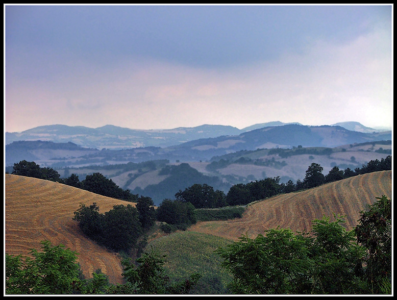 Colline Marchigiane