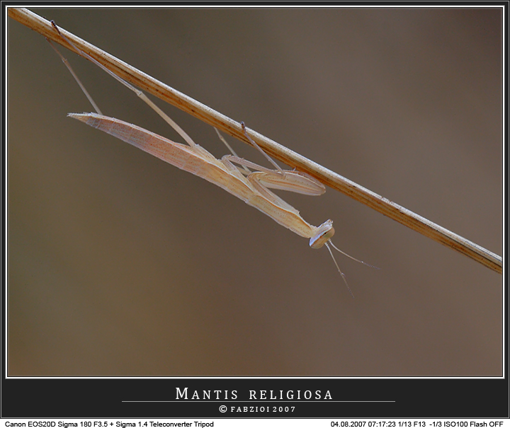 Alle prime luci del mattino...
