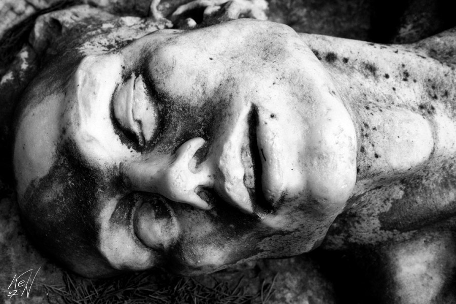 Scorci di Cimitero #4