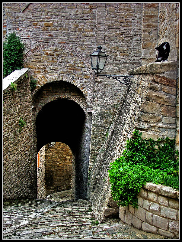 Custodi del tempo..........