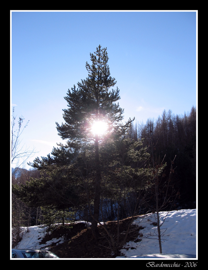 Bardonecchia 2006 - "Controluce"