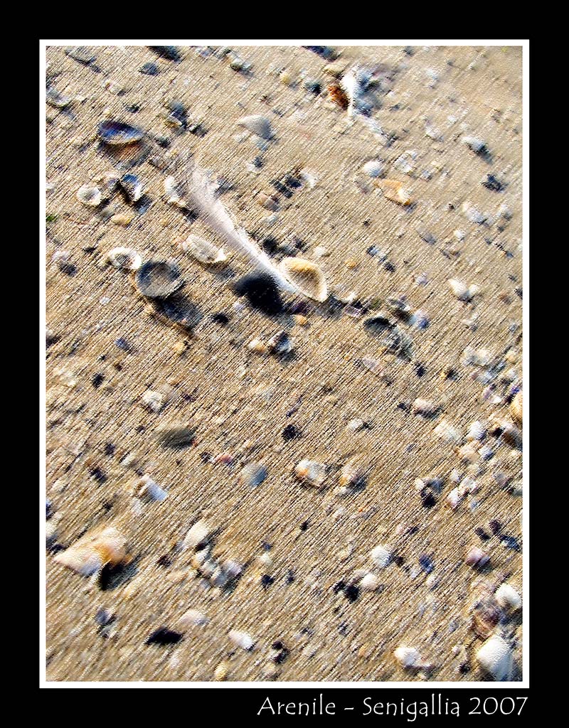 Senigallia 2007 - "Arenile"