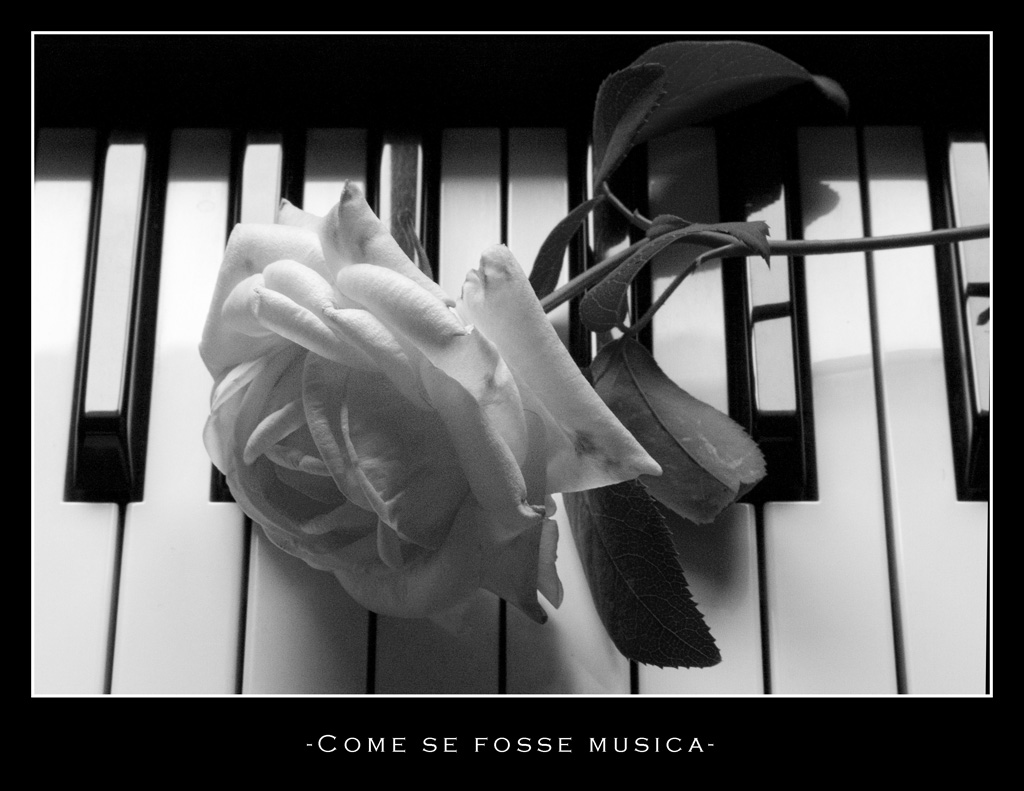 Come se fosse musica