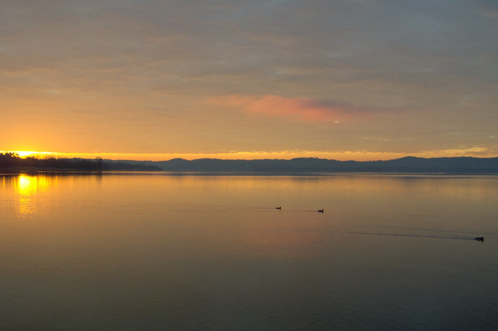 La primavera alle porte